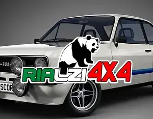 Ammortizzatori anteriori Ford Escort da 80-83