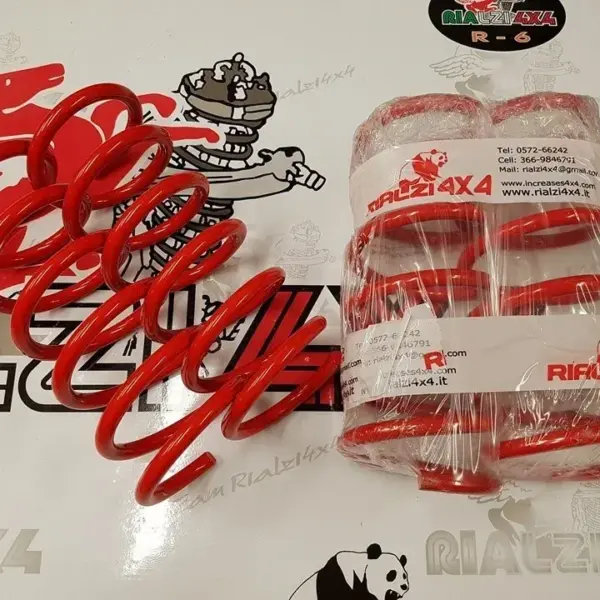 Molle posteriori sostitutive panda 4x4 metano/gpl ultima serie da 2013