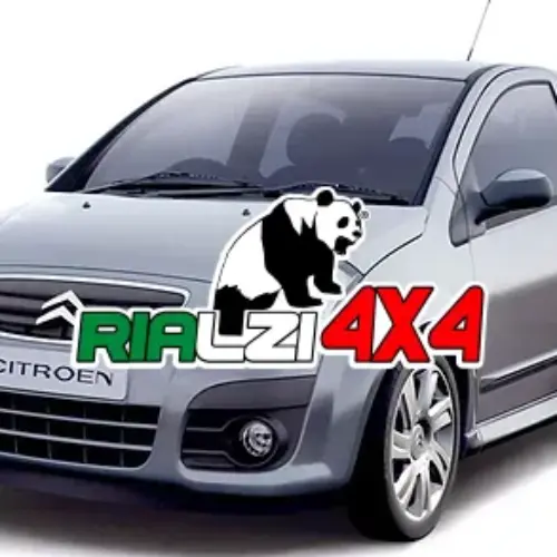 Ammortizzatori posteriori Citroen C2 da 2003