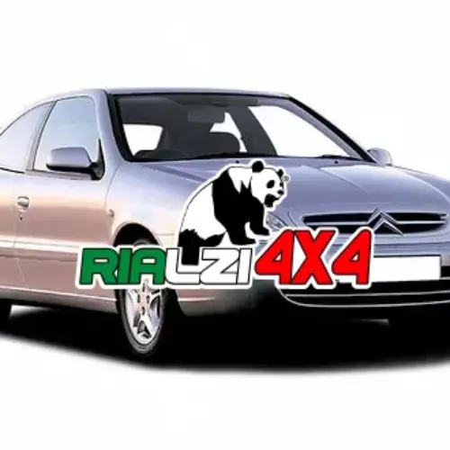 Ammortizzatori posteriori Citroen XSARA da 1997