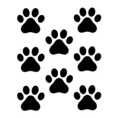 Adesivo impronte gatto