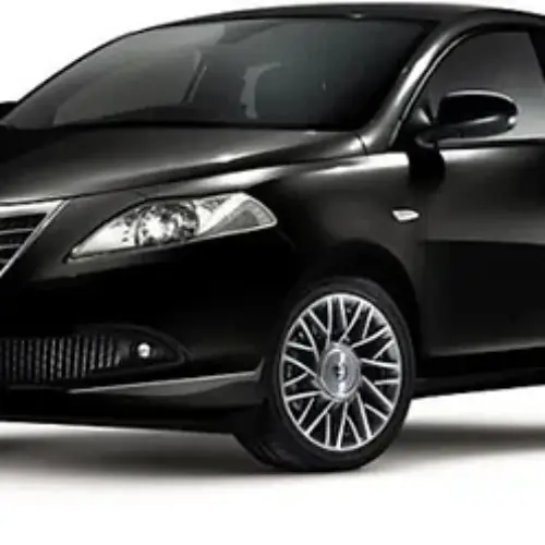 Ammortizzatori anteriori Lancia Ypsilon 1.2 8V-1.2 16V-1.4 16V (843) da 2003