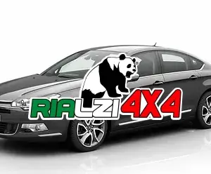 Ammortizzatori anteriori Citroen C5 da 2001