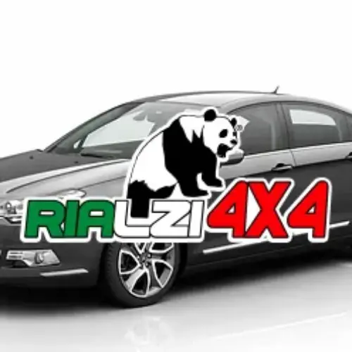 Ammortizzatori posteriori Citroen C5 da 2001