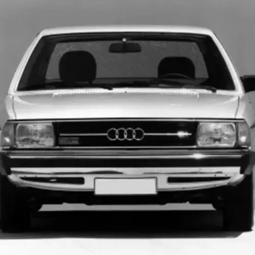 Ammortizzatori posteriori Audi 100 t.t da 76-79